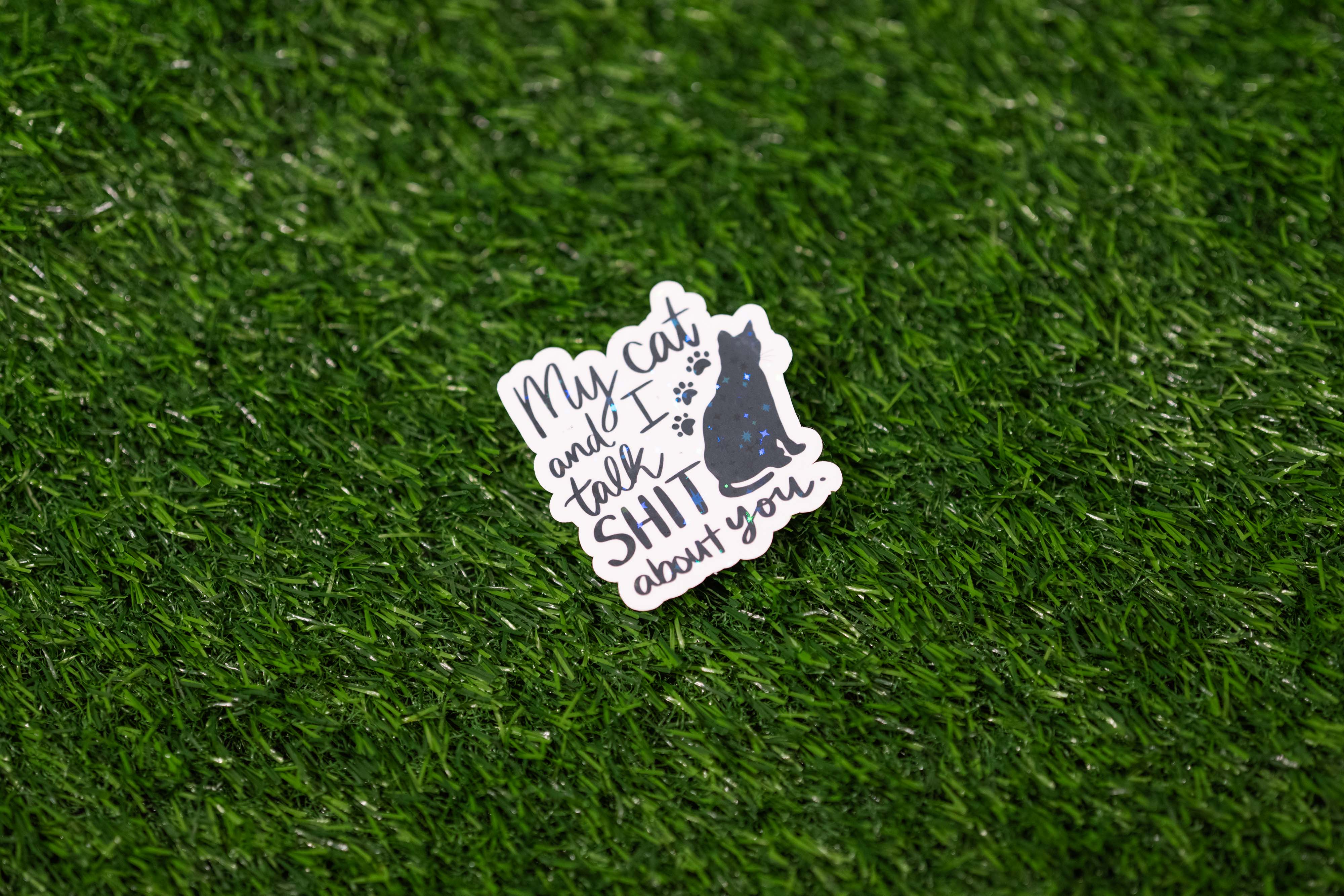 "My cat and I talk shit about you" cat Sticker (Single)