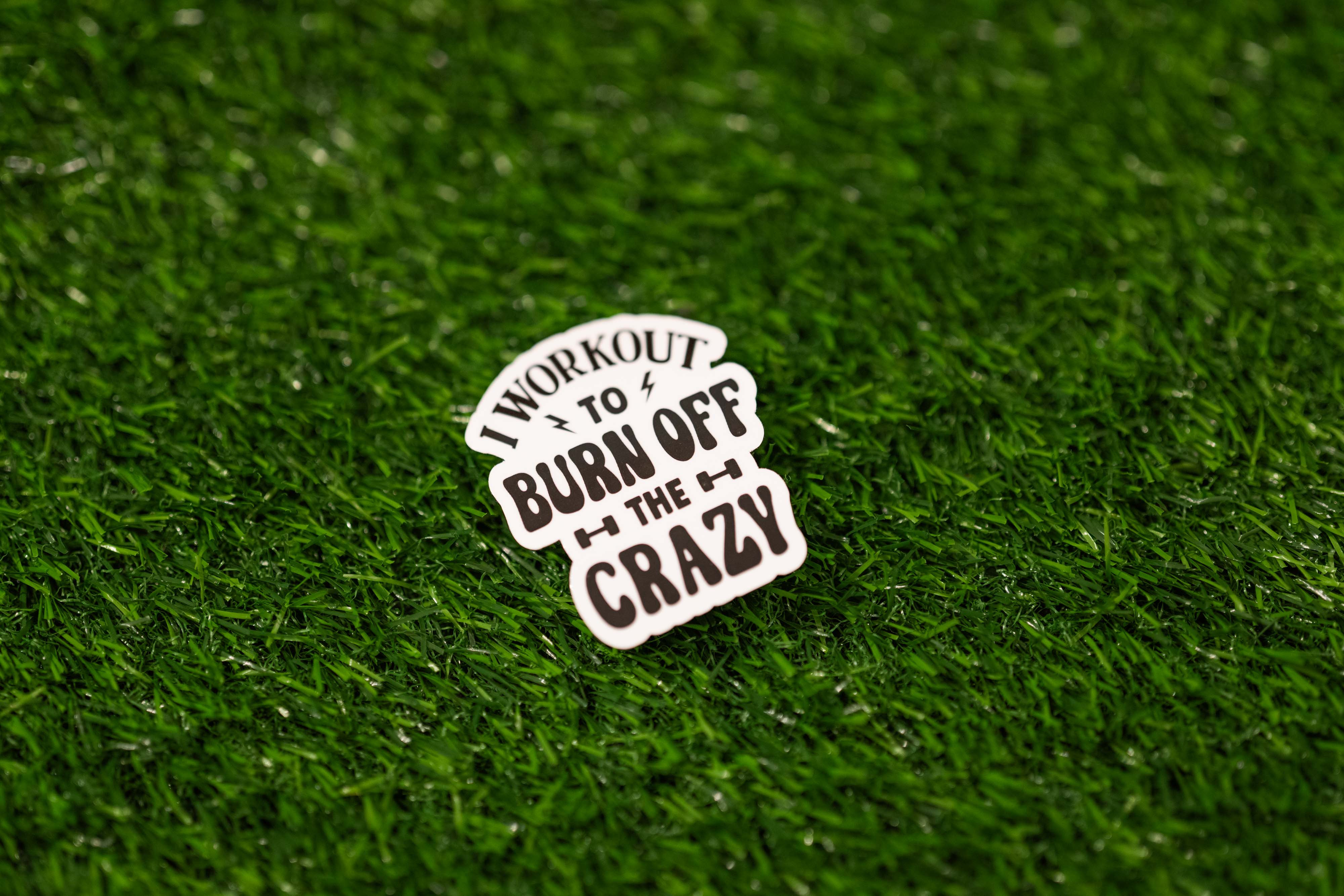 "I workout to burn off the crazy" Sticker (Single)