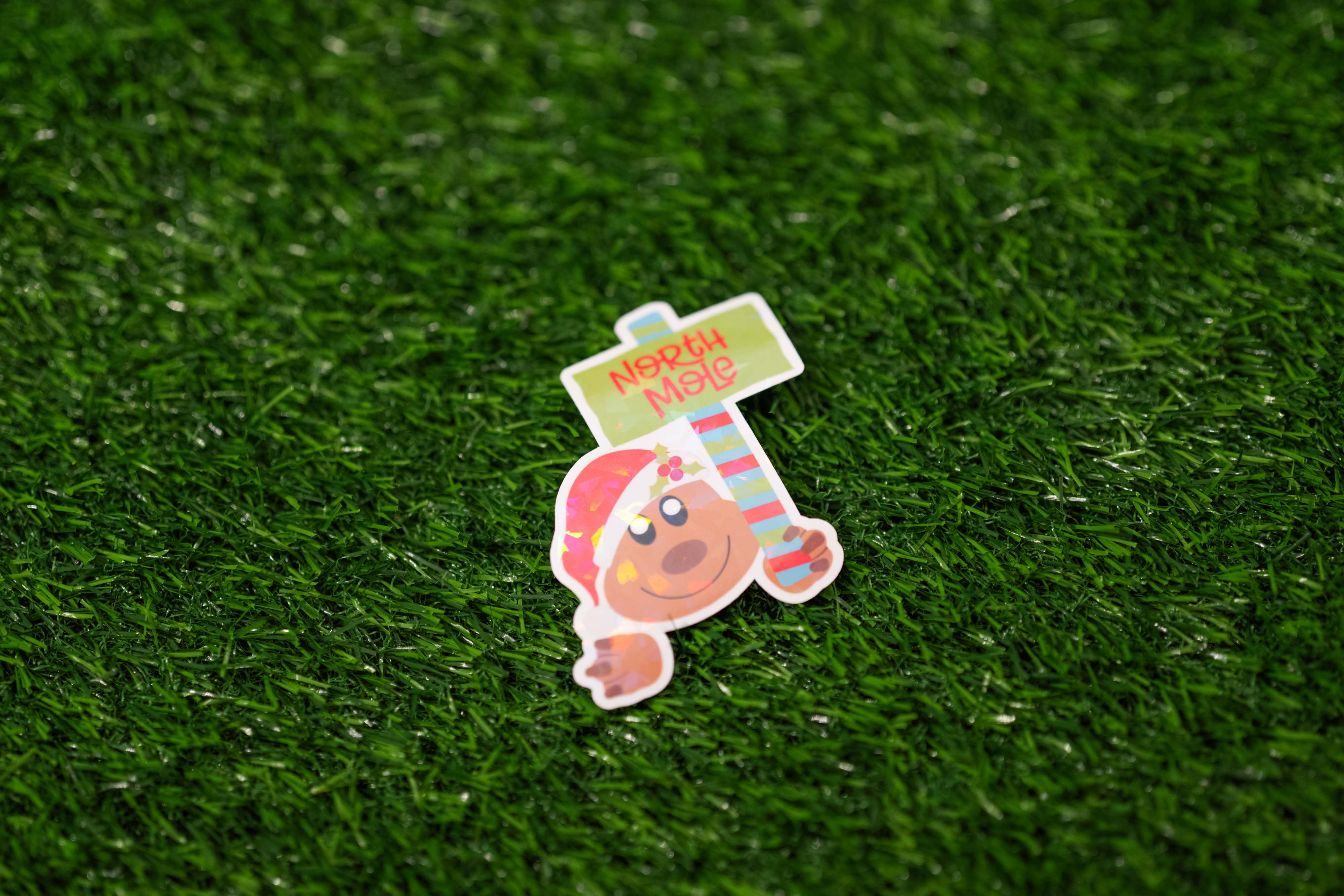 "North Pole" bear Sticker (Single)